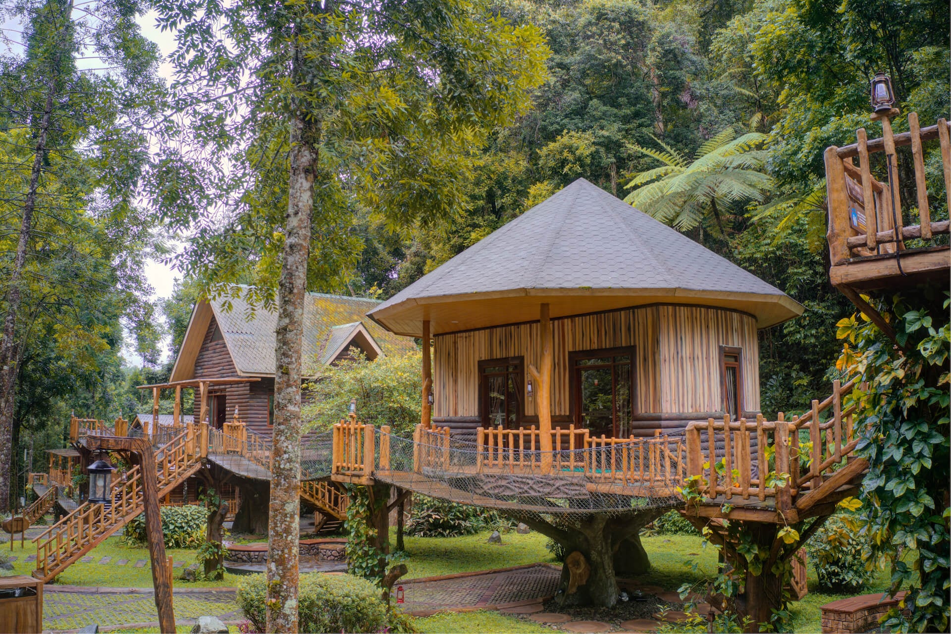 Treehouse No Slide at Safari Resort